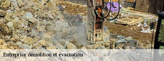 Entreprise démolition et évacuation fontaine-de-vaucluse-84800 Tony Location de benne
