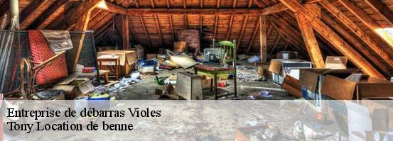 Entreprise de débarras  violes-84150 Tony Location de benne