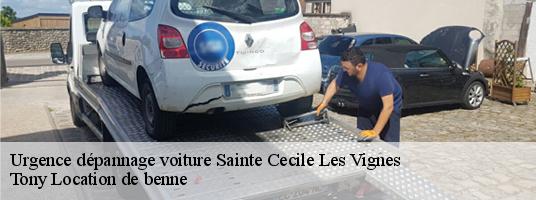 Urgence dépannage voiture  sainte-cecile-les-vignes-84290 Tony Location de benne