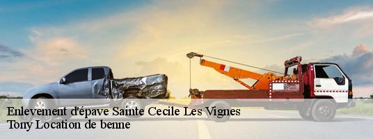 Enlevement d'épave  sainte-cecile-les-vignes-84290 Tony Location de benne